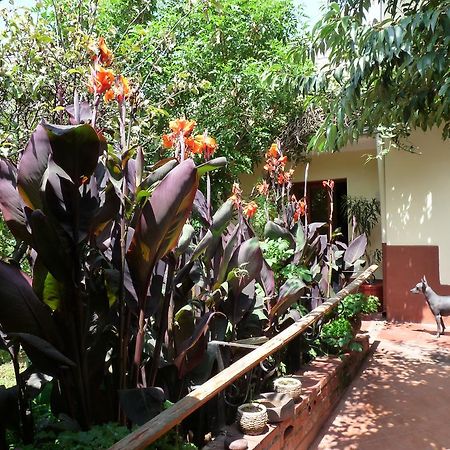 Kukuli Lodge B&B Κούζκο Εξωτερικό φωτογραφία