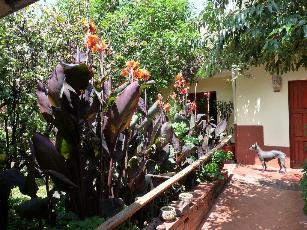 Kukuli Lodge B&B Κούζκο Εξωτερικό φωτογραφία